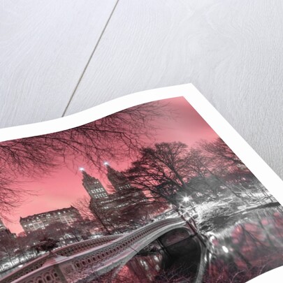 Central park, New York by Assaf Frank